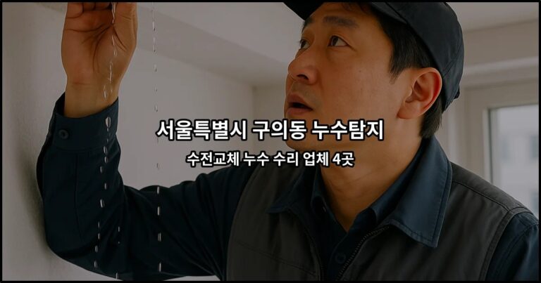 서울특별시 구의동 누수탐지 수전교체 누수 수리 업체 4곳