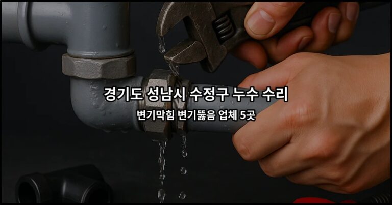 경기도 성남시 수정구 누수 수리 변기막힘 변기뚫음 업체 5곳