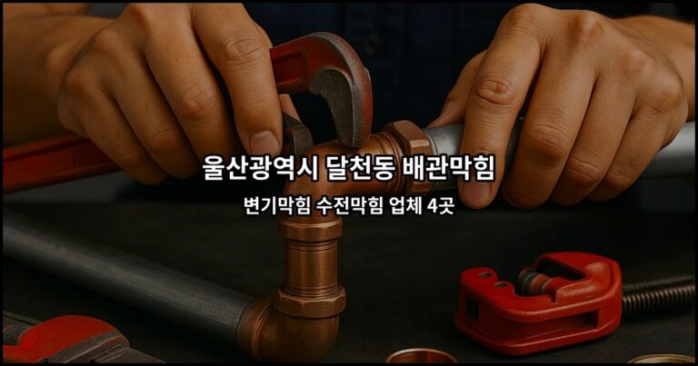 울산광역시 달천동 배관막힘 변기막힘 수전막힘 업체 4곳