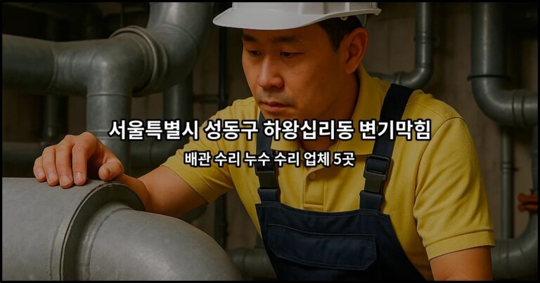 서울특별시 성동구 하왕십리동 변기막힘 배관 수리 누수 수리 업체 5곳