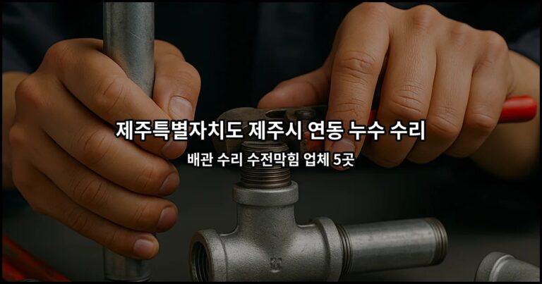 제주특별자치도 제주시 연동 누수 수리 배관 수리 수전막힘 업체 5곳