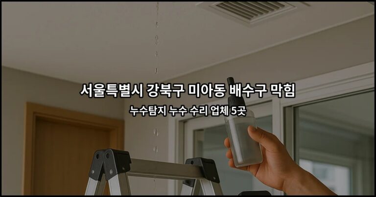 서울특별시 강북구 미아동 배수구 막힘 누수탐지 누수 수리 업체 5곳