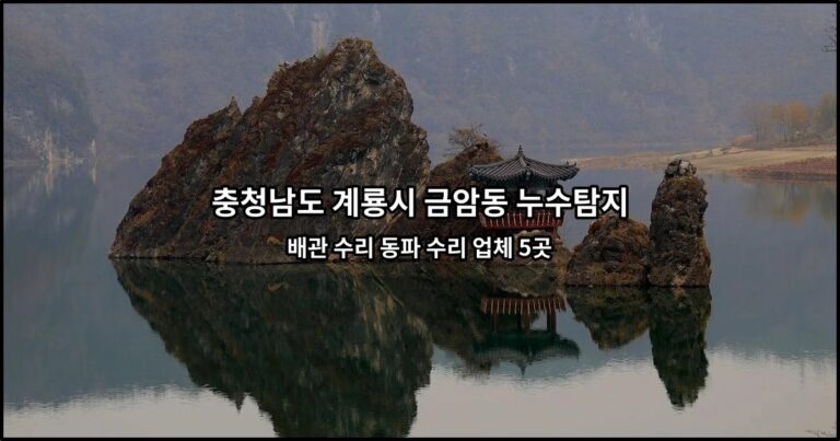 충청남도 계룡시 금암동 누수탐지 배관 수리 동파 수리 업체 5곳