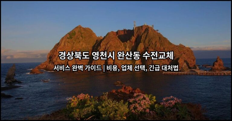 경상북도 영천시 완산동 수전교체 서비스 완벽 가이드 | 비용, 업체 선택, 긴급 대처법